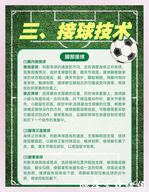 全面解析世界杯下注平台的核心功能与优势